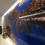 Franklin Lakes Wall Murals IMG 4744 150x150